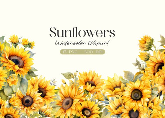 Download Watercolor Sunflowers Clipart - Premium Resources